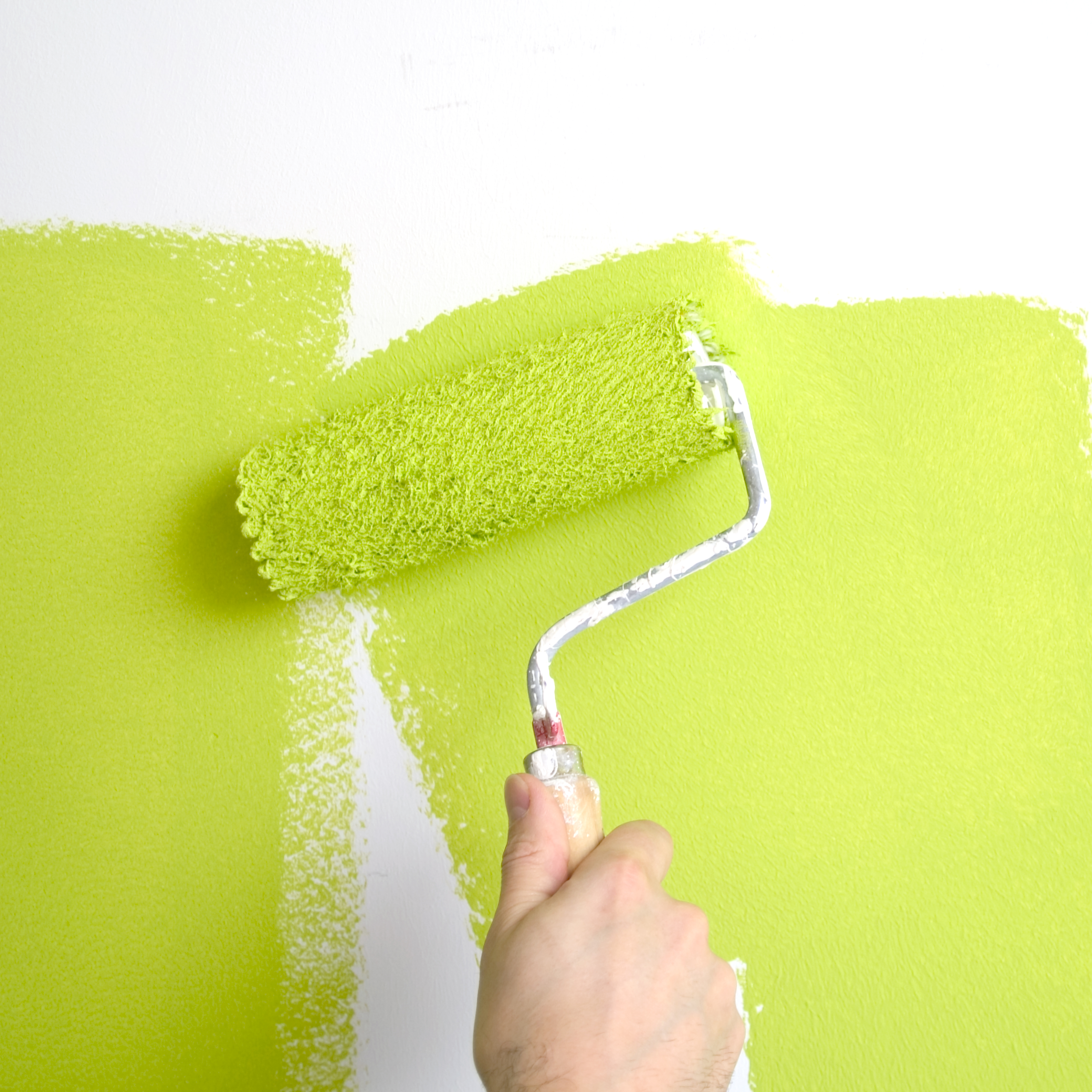Rullo decorativo pareti colorate verde