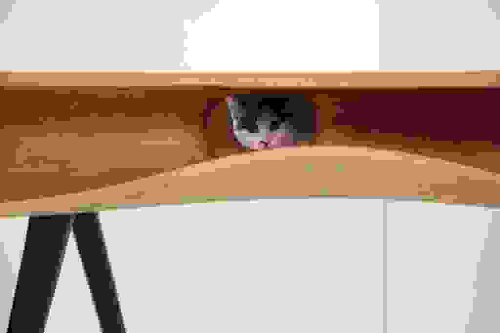 cat Table