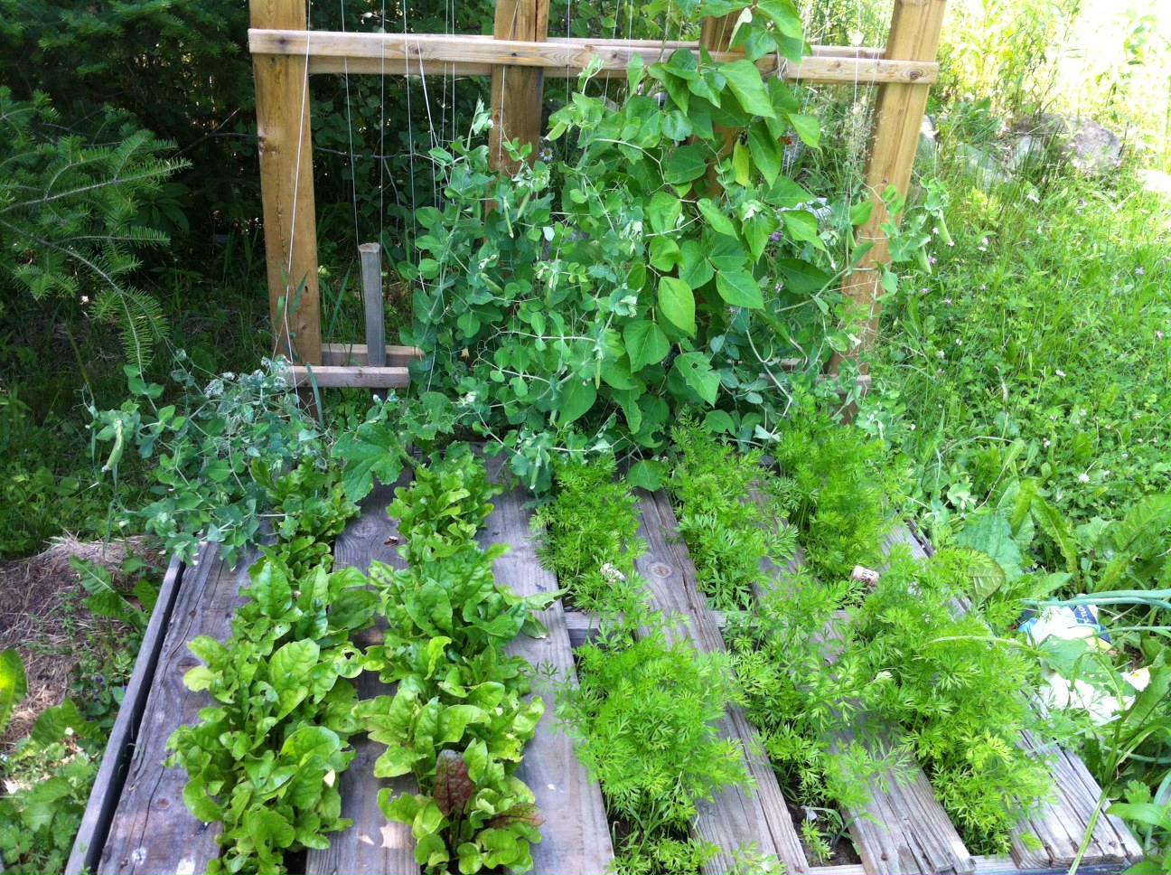 Come arredare il giardino con i pallet : arredare il giardino con ...