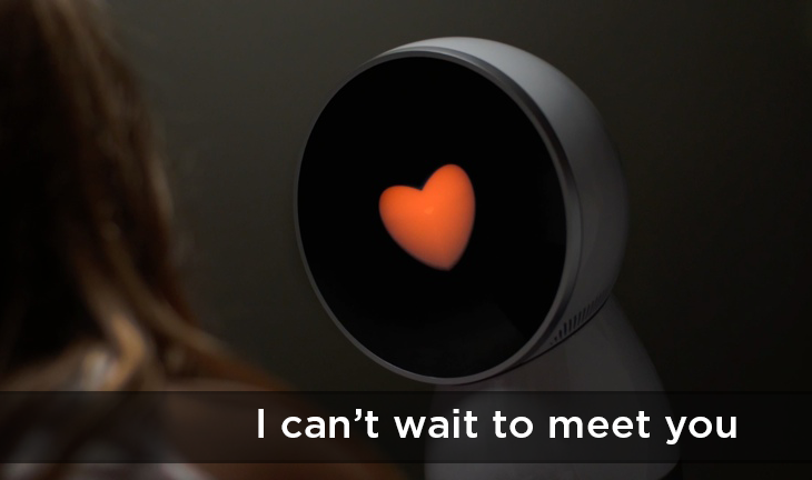 jibo_meet_you