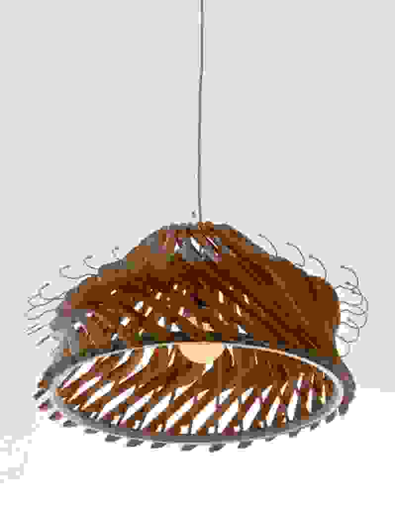 La serie di lampade ecologiche di design della organelle design