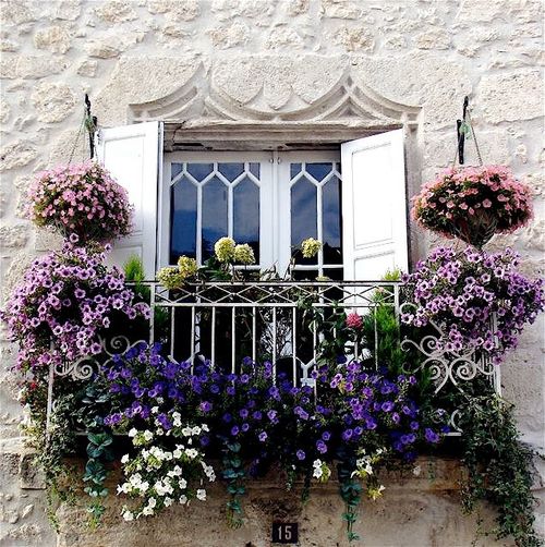 Balcone fiorito come scegliere i fiori