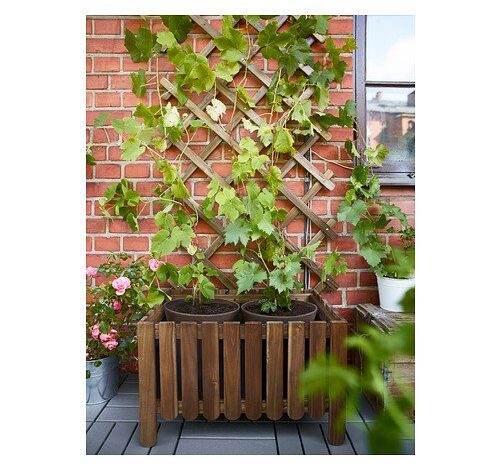 giardino verticale ikea