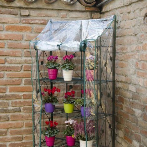 Come Proteggere Le Piante In Inverno Dal Freddo Tanti