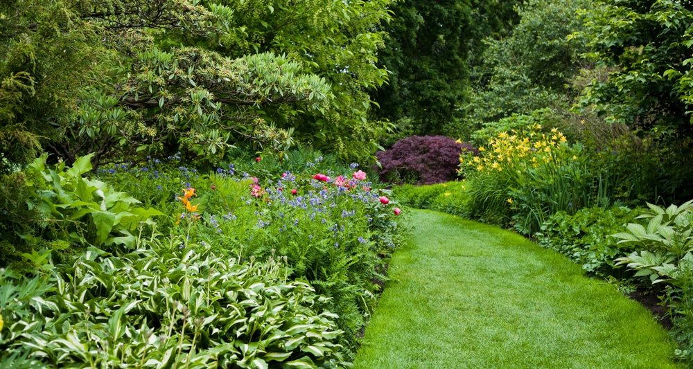 progettazione dei giardini