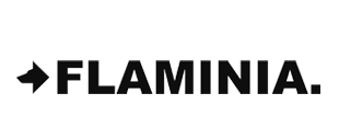 logo flaminia