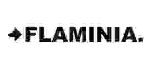 logo flaminia