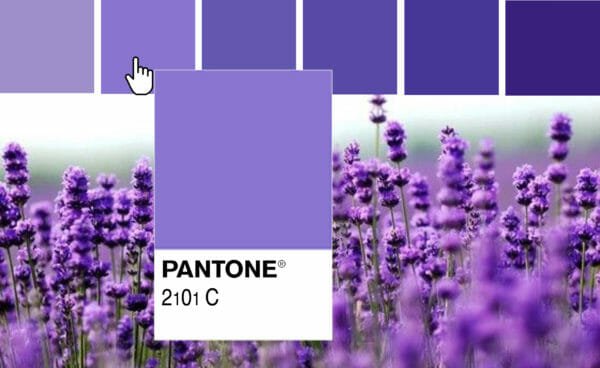 Pantone colore lavanda