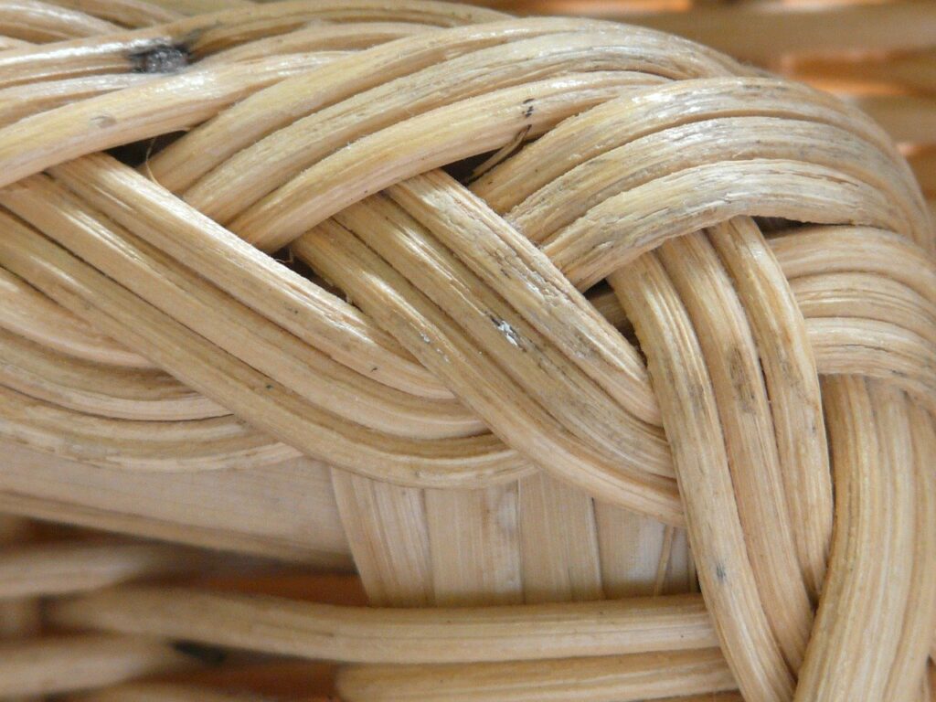 legno di rattan