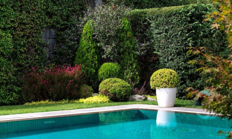 Piscine interrate