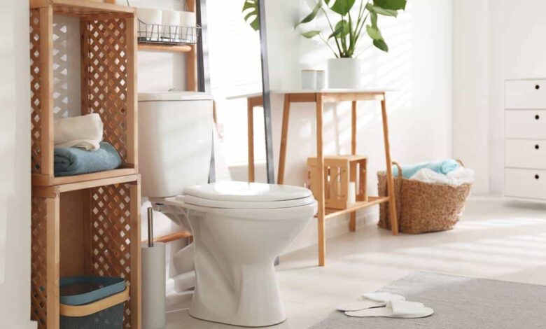 tazza del bagno