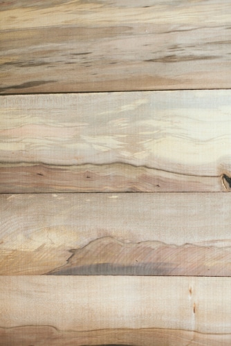 legno di sassofrasso