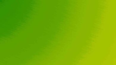 color verde lime