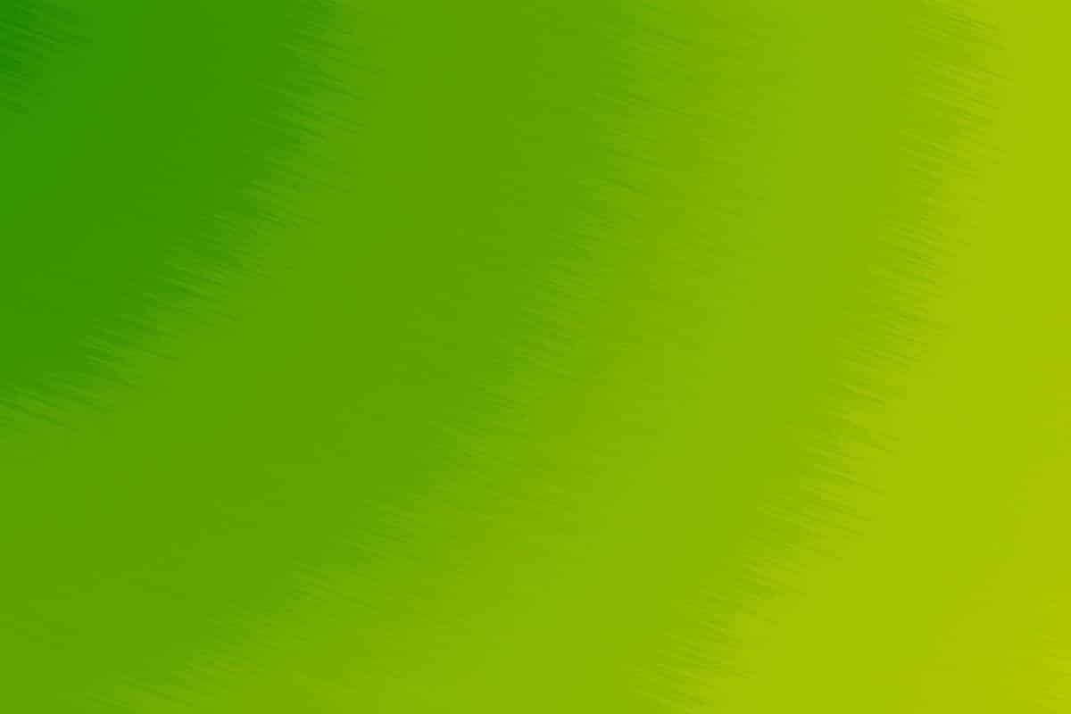 color verde lime